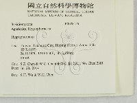 登錄號:F0028156藏品圖，第2張