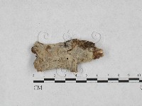 登錄號:F0028157藏品圖，第1張