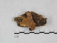 登錄號:F0028158藏品圖，第1張