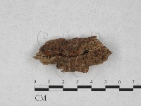 登錄號:F0028160藏品圖，第1張