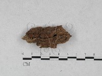 登錄號:F0028160藏品圖，第4張