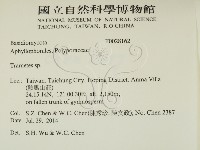 栓菌屬藏品圖，第2張