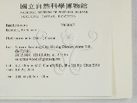 登錄號:F0028165藏品圖，第2張