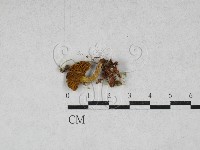 登錄號:F0028165藏品圖，第1張