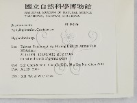 絲齒菌屬藏品圖，第2張