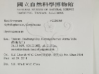 絲齒菌屬藏品圖，第2張