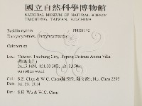 登錄號:F0028170藏品圖，第2張