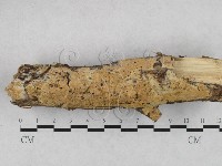 登錄號:F0028171藏品圖，第1張