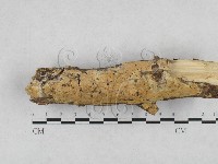 登錄號:F0028171藏品圖，第3張