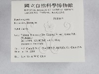 登錄號:F0028172藏品圖，第2張