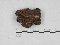 登錄號:F0028172藏品圖，第3張