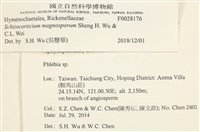 登錄號:F0028176藏品圖，第3張