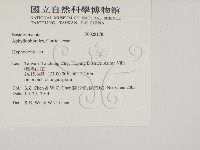 絲齒菌屬藏品圖，第2張
