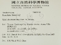 登錄號:F0028180藏品圖，第2張