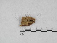 登錄號:F0028180藏品圖，第1張