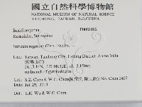 登錄號:F0028182藏品圖，第2張