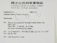 登錄號:F0028183藏品圖，第2張