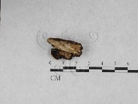 登錄號:F0028185藏品圖，第3張