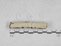 登錄號:F0028186藏品圖，第1張