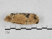 登錄號:F0028188藏品圖，第1張