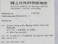 栓菌屬藏品圖，第2張