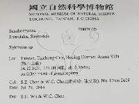 登錄號:F0028193藏品圖，第2張