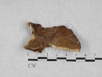登錄號:F0028193藏品圖，第1張