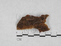 登錄號:F0028193藏品圖，第3張