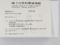 刺皮菌屬藏品圖，第2張