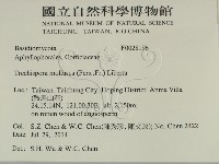 登錄號:F0028196藏品圖，第2張