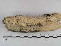 登錄號:F0028196藏品圖，第3張