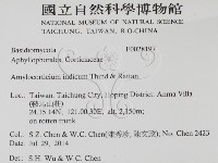 登錄號:F0028197藏品圖，第2張