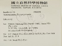 登錄號:F0028198藏品圖，第2張