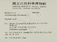 絲皮菌屬藏品圖，第2張