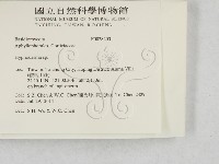 絲皮菌屬藏品圖，第2張