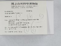 登錄號:F0028204藏品圖，第2張