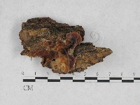 登錄號:F0028204藏品圖，第1張
