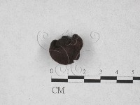 登錄號:F0028206藏品圖，第1張