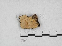 登錄號:F0028207藏品圖，第1張