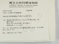 登錄號:F0028208藏品圖，第2張
