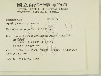 登錄號:F0028209藏品圖，第2張