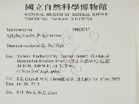 雲芝藏品圖，第2張