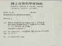 木層孔菌屬藏品圖，第2張