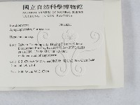 登錄號:F0028215藏品圖，第2張