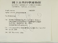 齒耳菌屬藏品圖，第2張