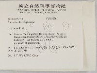 刺皮菌屬藏品圖，第2張