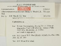 登錄號:F0028223藏品圖，第2張