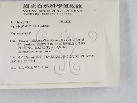 絲齒菌屬藏品圖，第2張