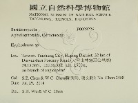 絲皮菌屬藏品圖，第2張