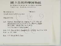 寡孔菌屬藏品圖，第2張